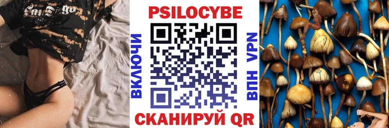 Псилоцибиновые грибы Psilocybe  kraken как зайти  Карачев 